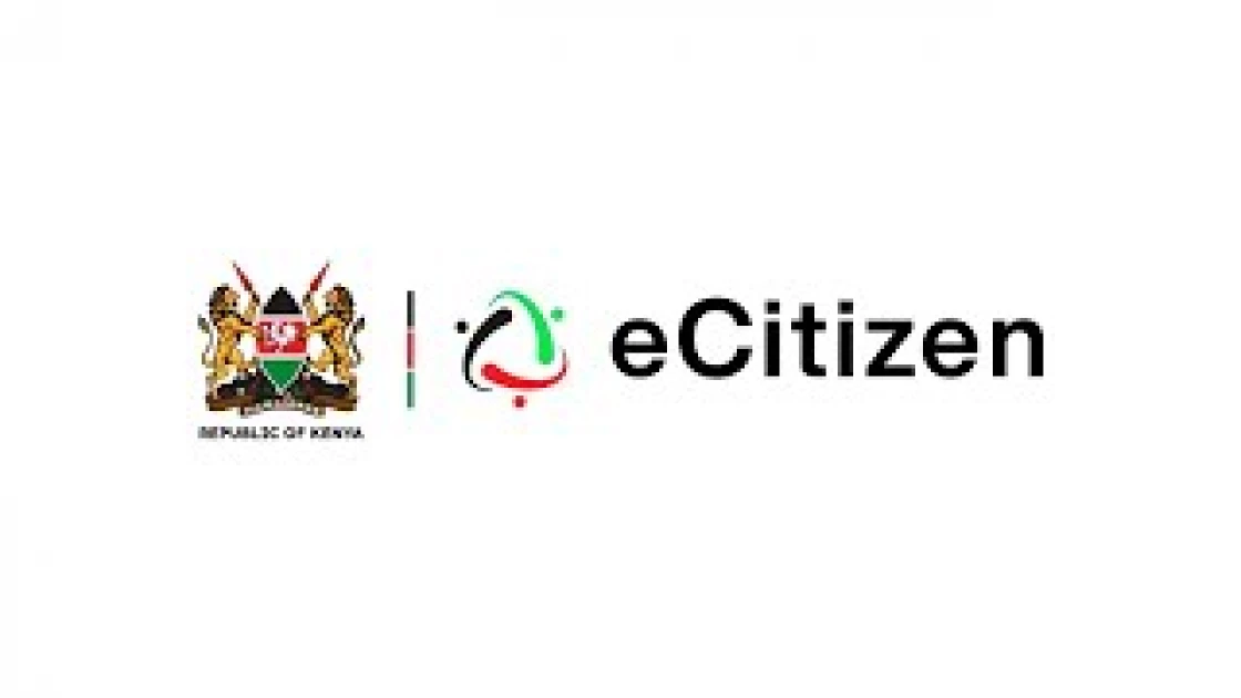 E-Citizen Payment Integration